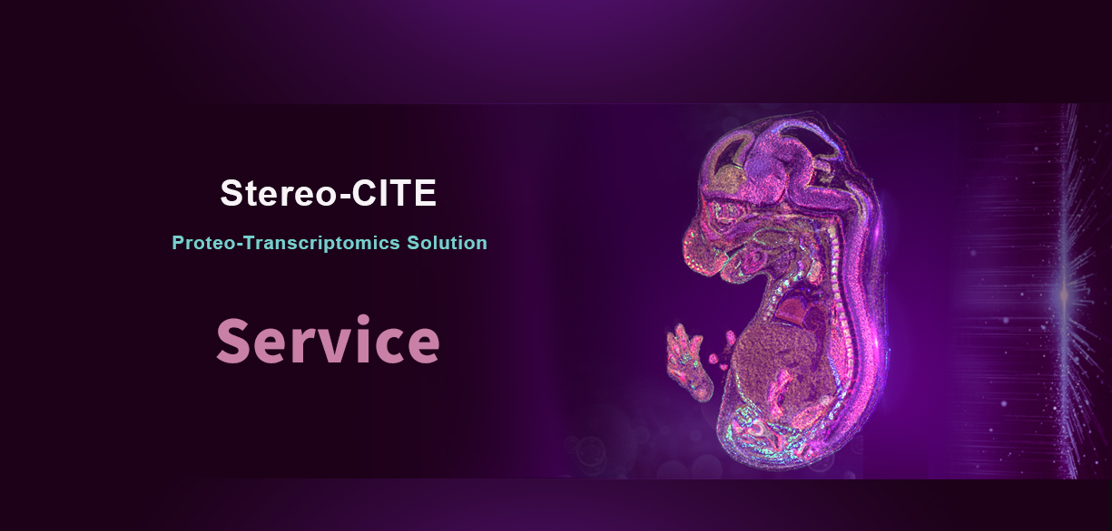 Stereo-CITE 상단 이미지