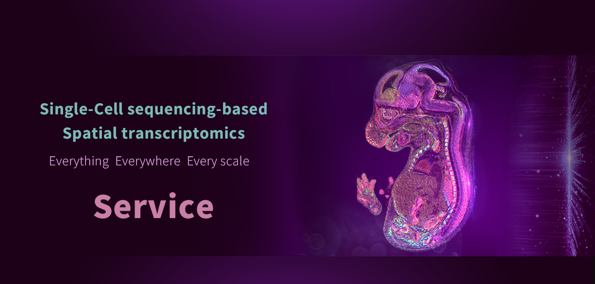 STOmics(Stereo-seq) 상단 이미지