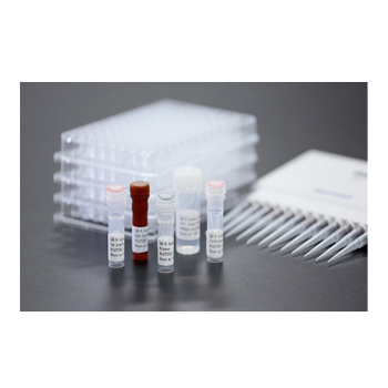 Assay Kit
