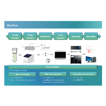DNBelab C-TaiM 4RS