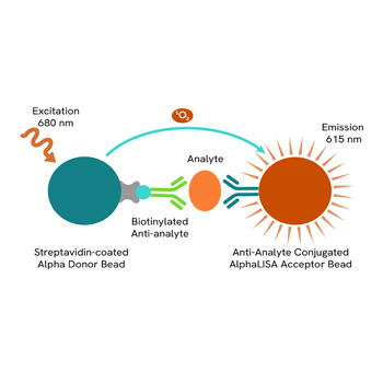 Alpha
