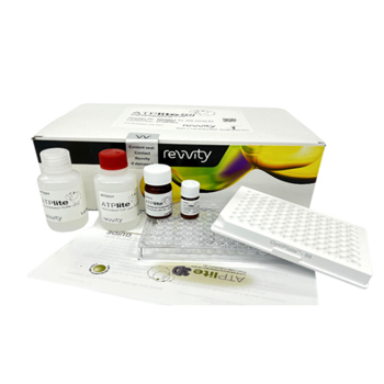 Cytotoxicity and cell proliferation assays