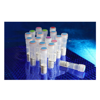 Tyrosine Kinase (TK) Proteins