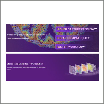 Stereo-seq