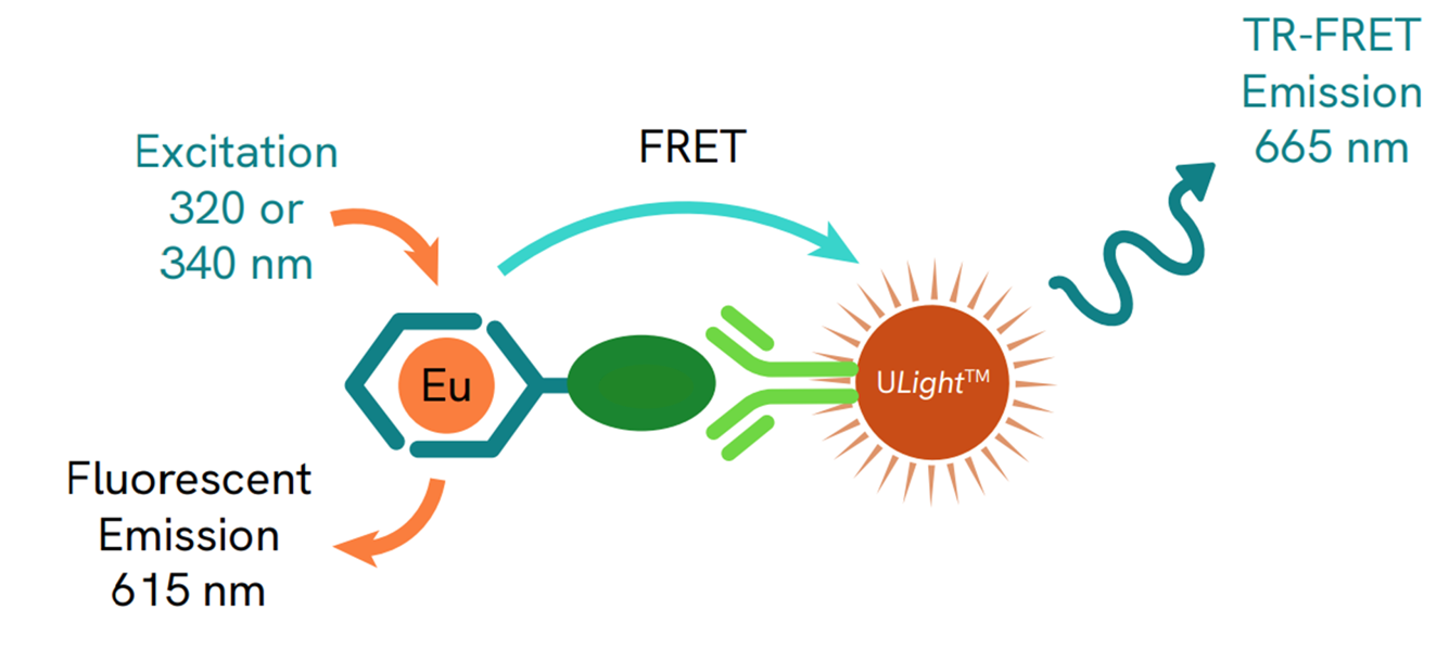LANCE Ultra TR-FRET 이미지01