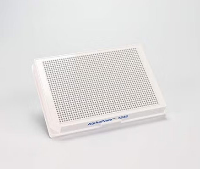 AlphaPlate 이미지02