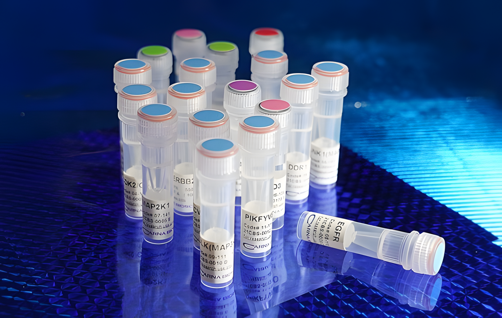 Lipid Kinase Proteins 이미지01