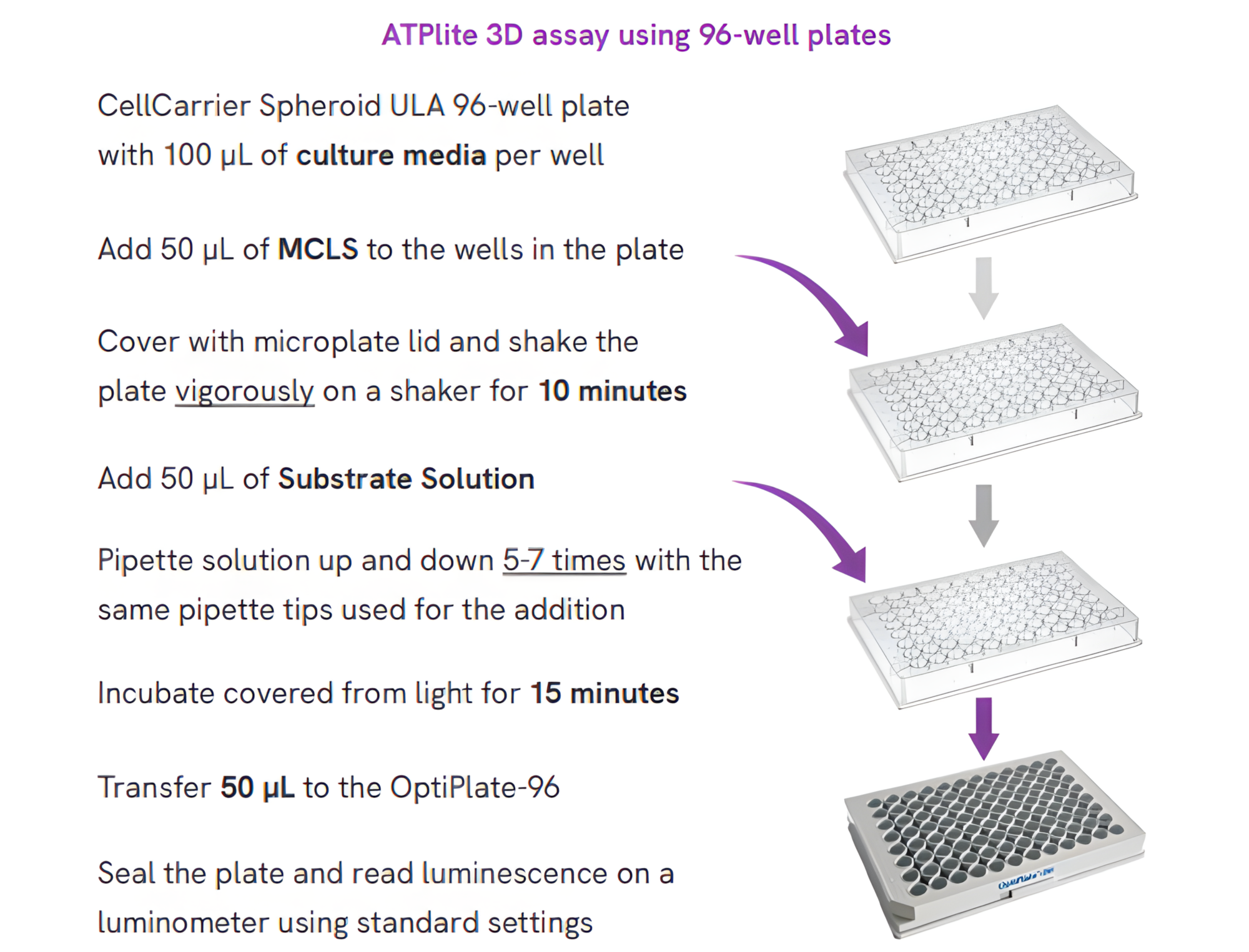 ATPlite™ 3D 이미지02