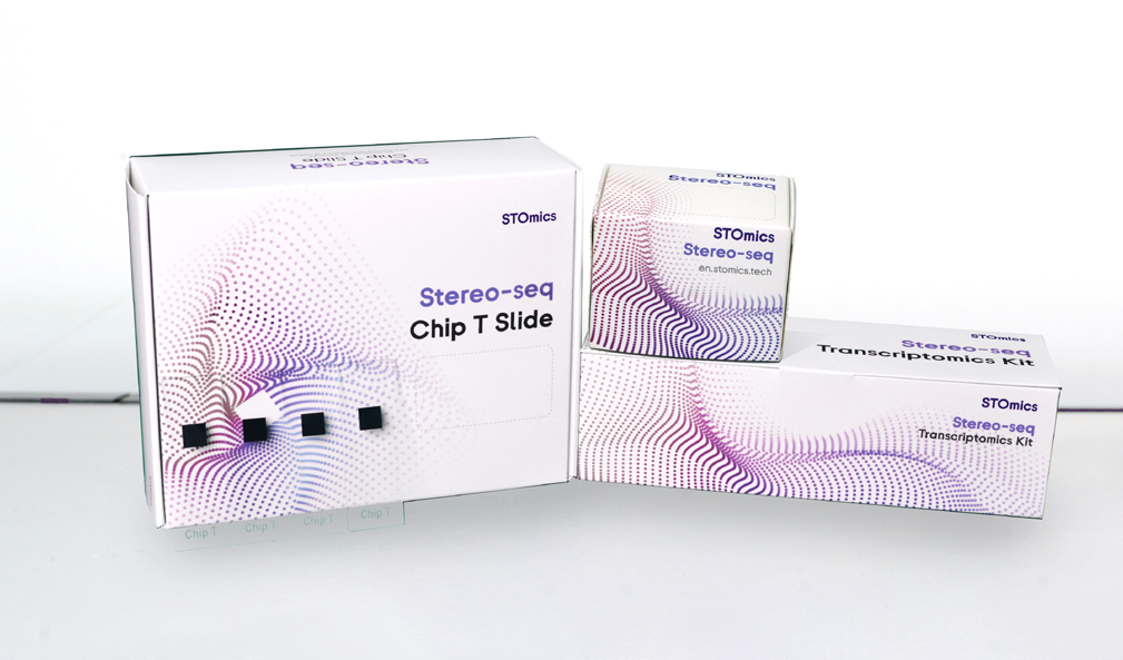 Stereo-seq Transcriptomics set for chip-on-a-slide (1cm*1cm) 이미지01