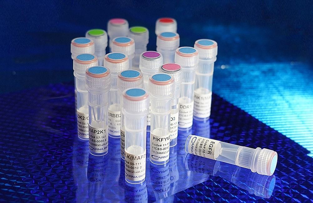 Tyrosine Kinase (TK) Proteins 이미지01