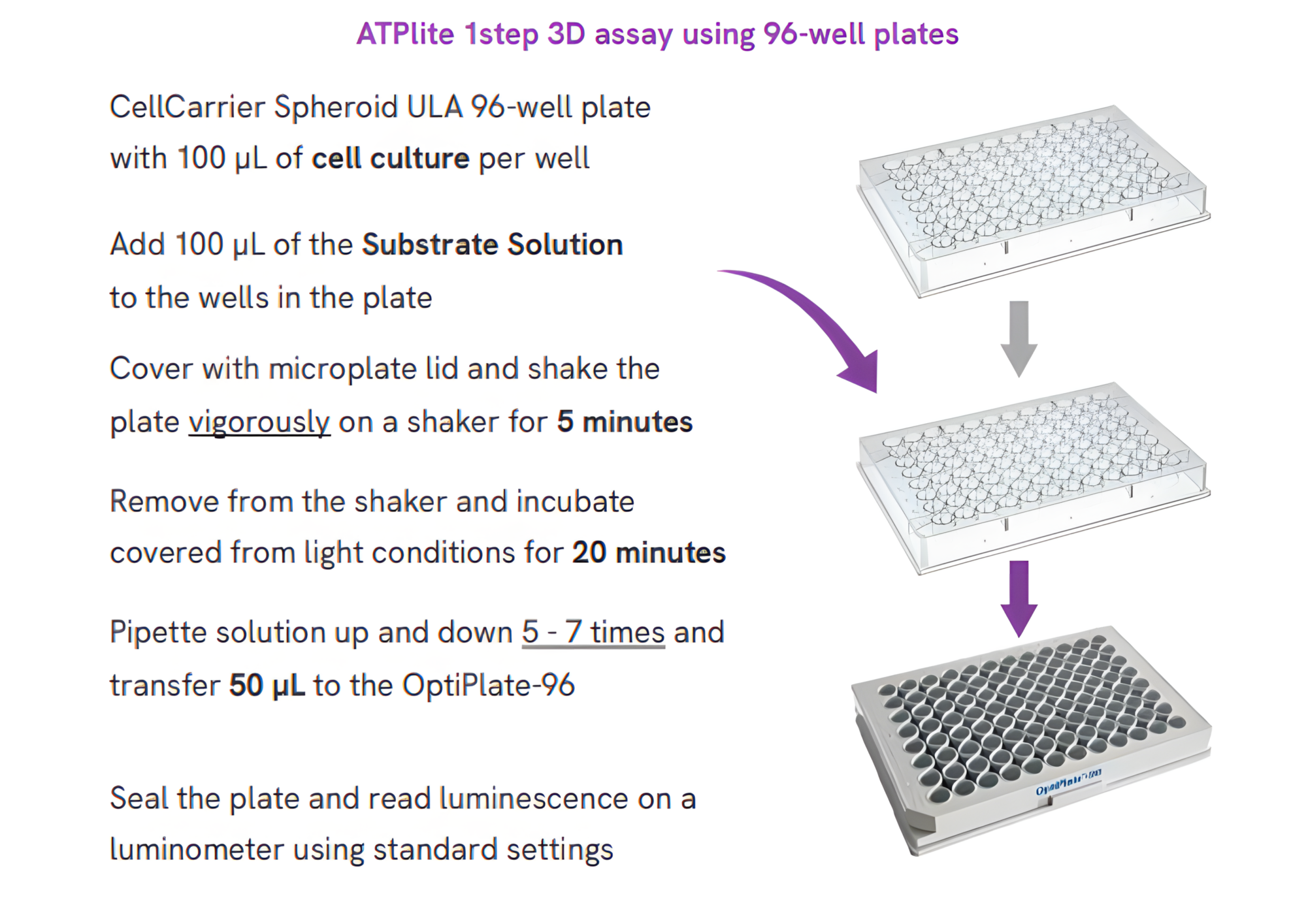 ATPlite™ 1step 3D 이미지02