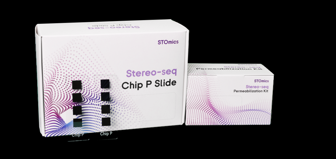 Stereo-seq Pemeabilization set for chip-on-a-slide (1cm*1cm) 이미지01