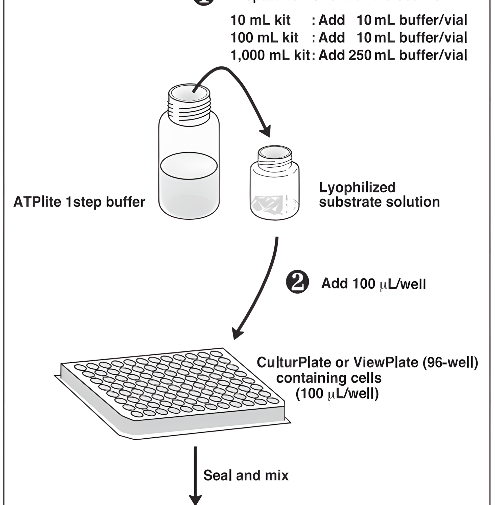 ATPlite™ 1step 이미지02