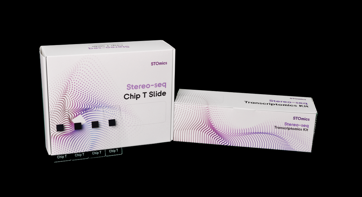 Stereo-seq Transcriptomins set for chip-on-a-slide (1cm*1cm) 이미지01