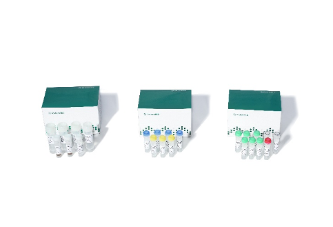 Nanopore Genetic Sequencer(G400-ER) 이미지04