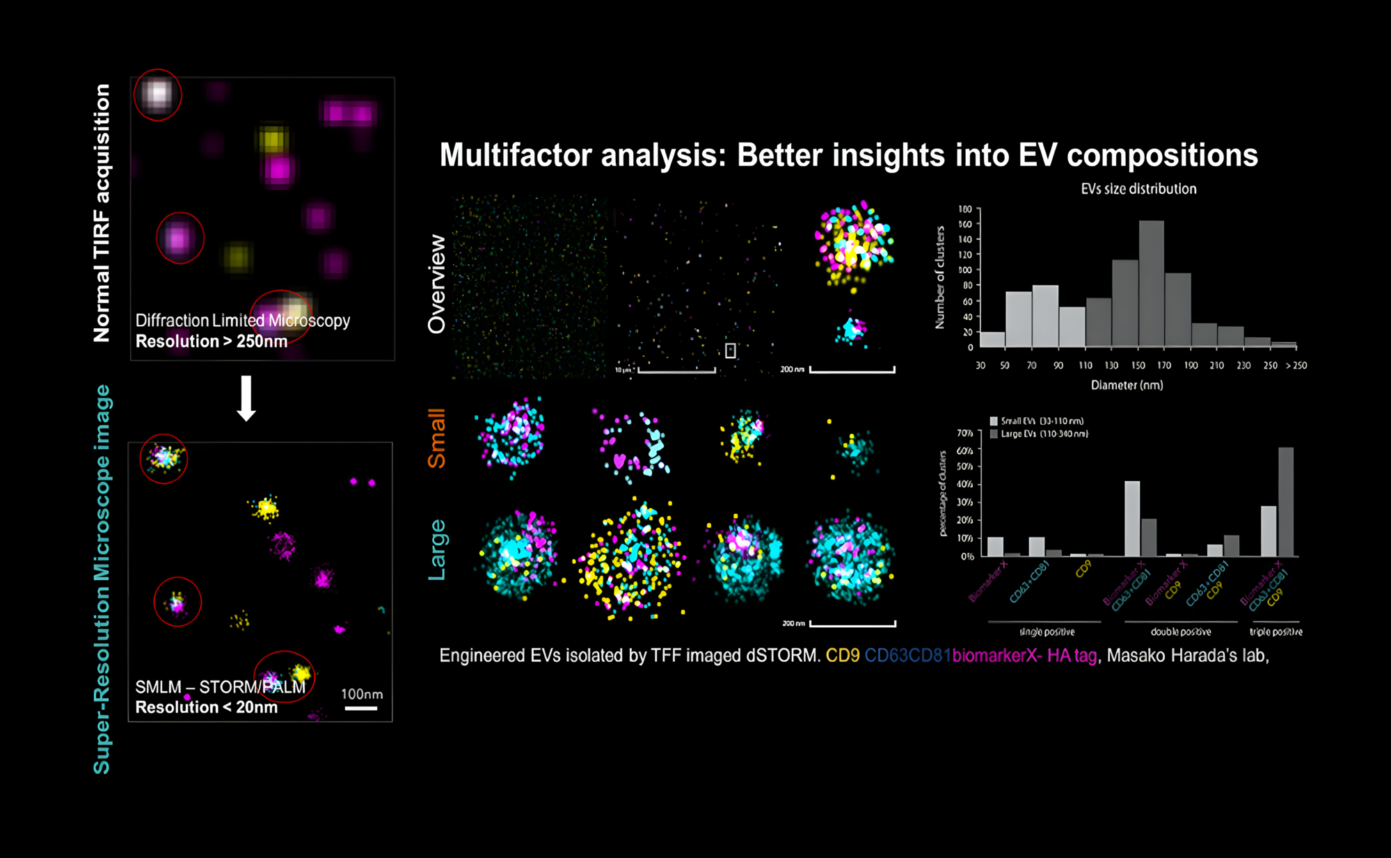 Application Kit™: EV Profiler 2 이미지03