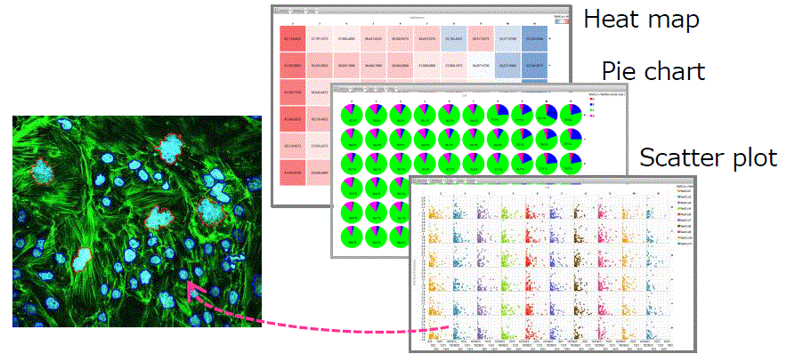 ellVoyager™ CQ1 Benchtop High-Content Analysis System 이미지02