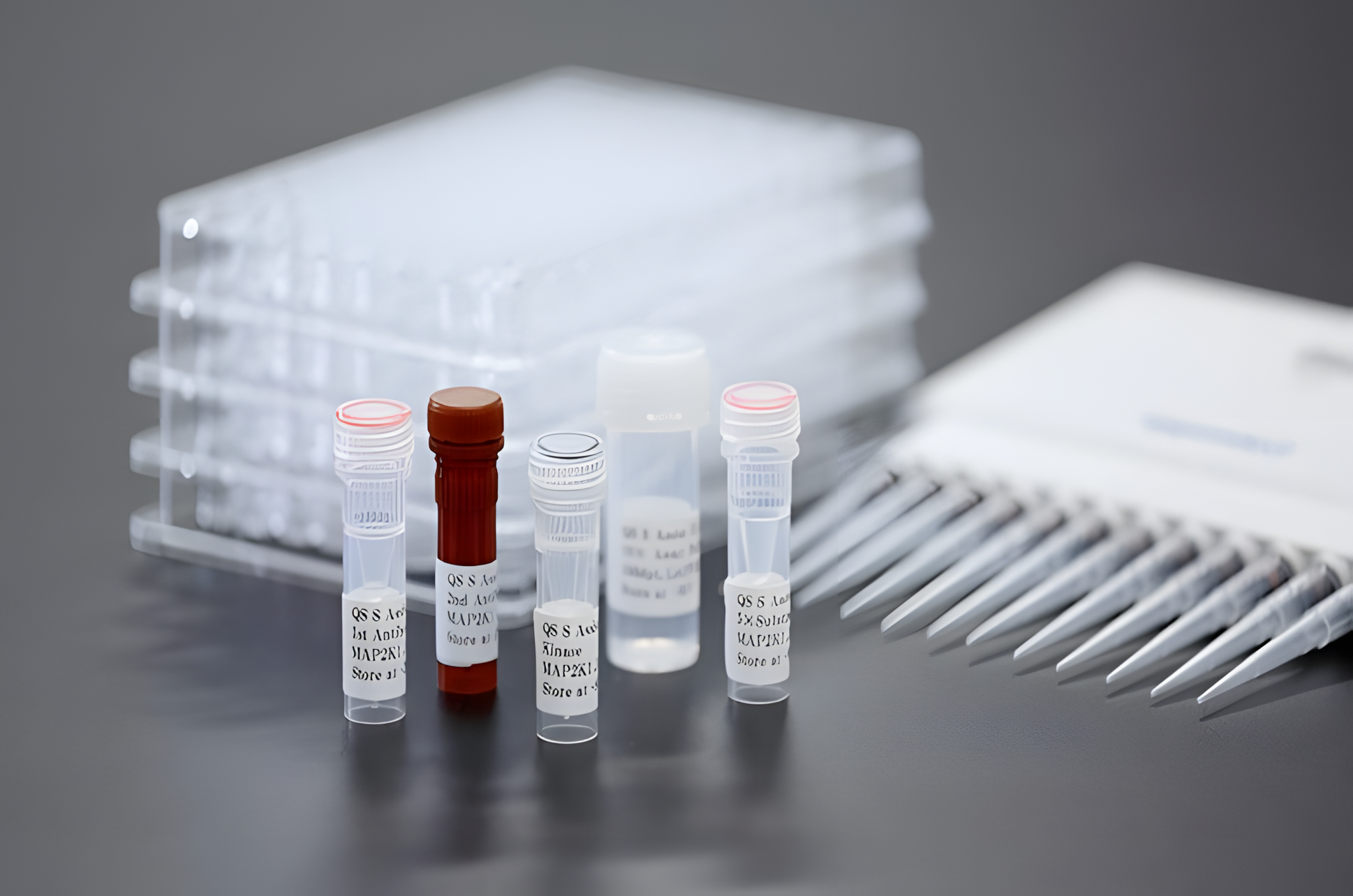 ADP-Glo™ Kinase Assay Kit 이미지01
