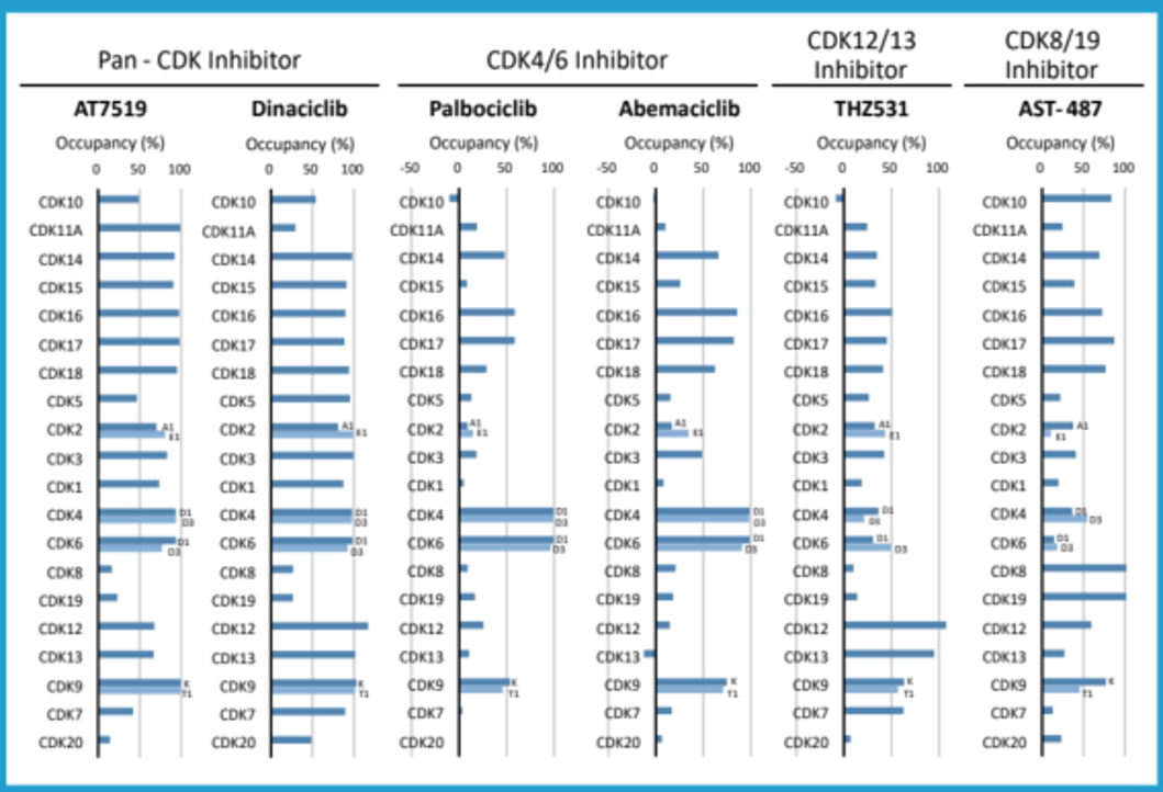 Live cell-based NanoBRET™ TE 이미지05
