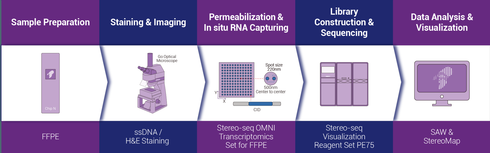 Stereo-seq All step service_FFPE 이미지01