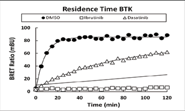 Live cell-based NanoBRET™ TE 이미지03
