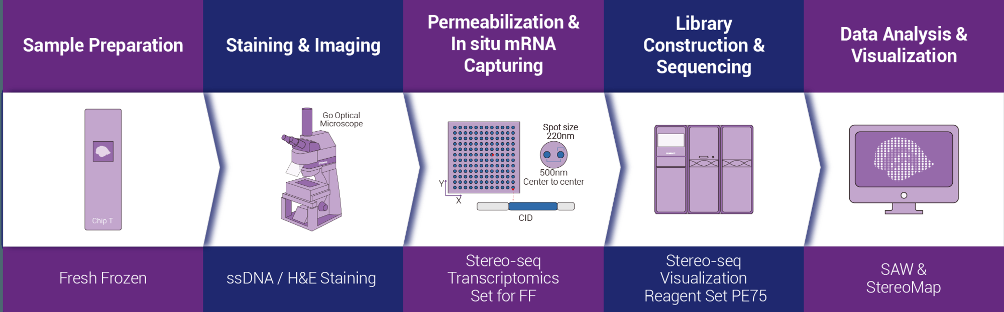 Stereo-seq All step service_FF 이미지02