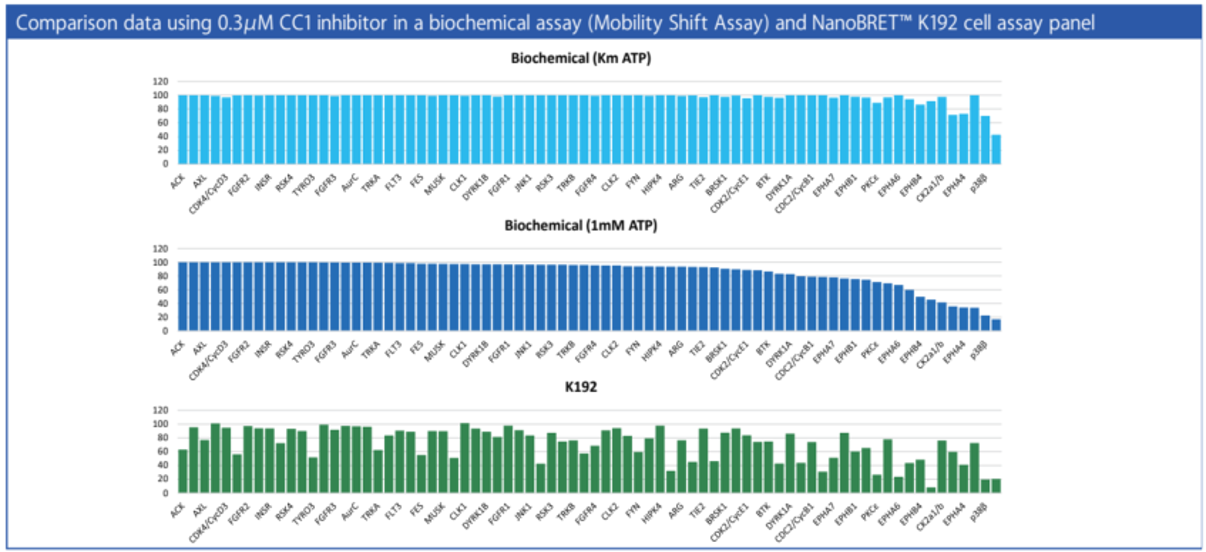 Live cell-based NanoBRET™ TE 이미지04